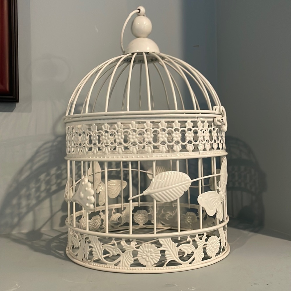Decorative cage